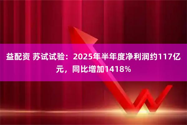 益配资 苏试试验：2025年半年度净利润约117亿元，同比增加1418%